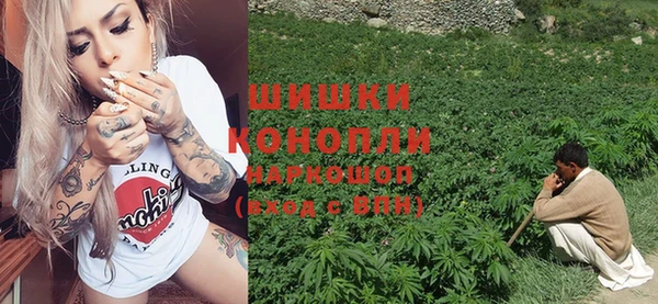 индика Магадан
