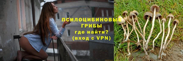 индика Магадан